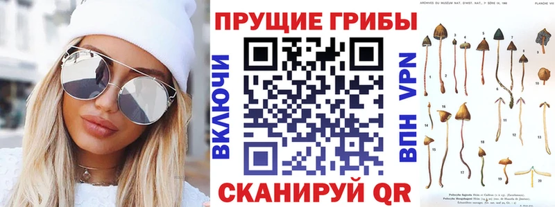 ОМГ ОМГ ссылка  Петровск  Псилоцибиновые грибы MAGIC MUSHROOMS  купить закладку 